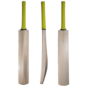BATS (Copy)1